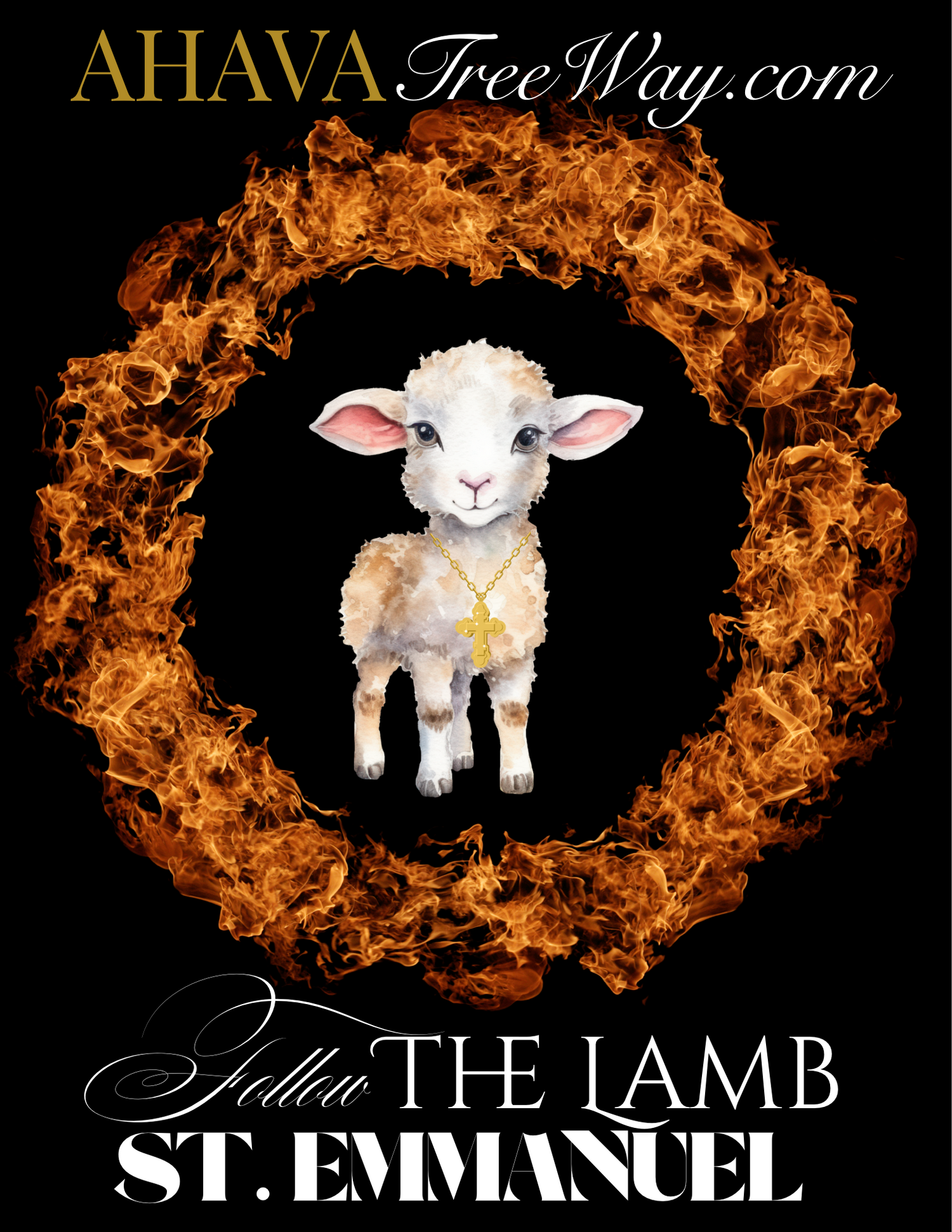 Follow the Lamb John 1:29